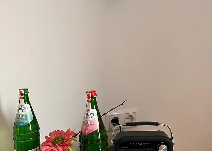 Fabelhafte Altbaumaisonette Mitten Im Ruhrgebiet Appartement *